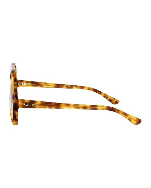 Chloé Yellow Sunglasses Ch0289S Havana Acetate