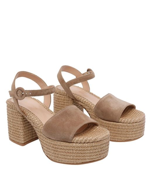 Gianvito Rossi Brown With Heel