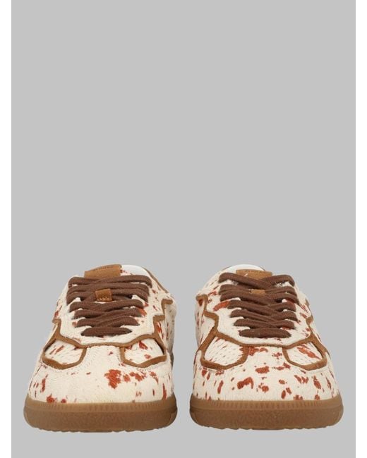 Alohas Brown Sneakers Tb.490 Rife Leather Trainers