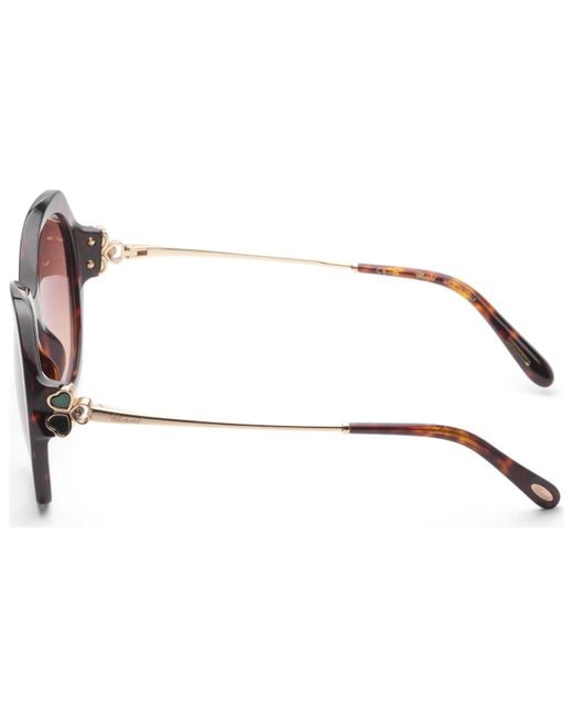 Chopard Brown Preloved for men
