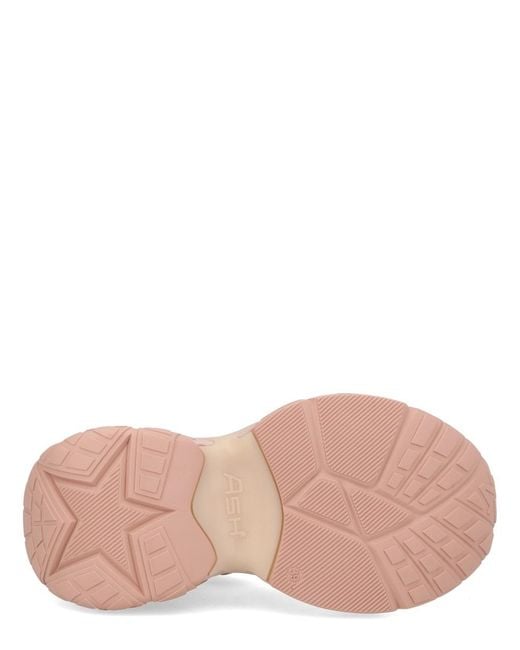 Ash Pink Sneakers Dragon Calf Leather Trainers