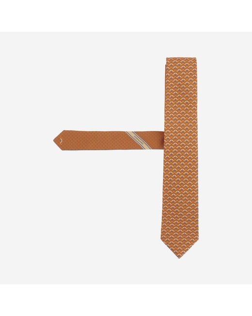 Ferragamo Brown Tie Silk Ties & Bow for men