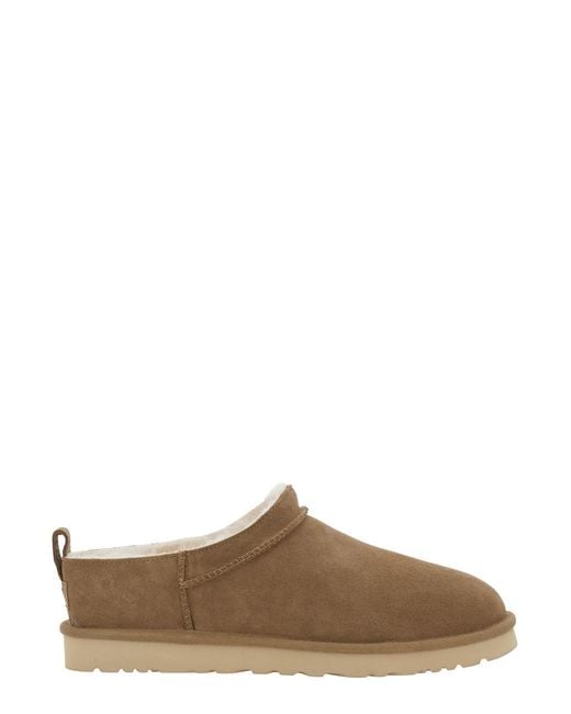 Ugg Brown Mules M Classic Micro Suede for men
