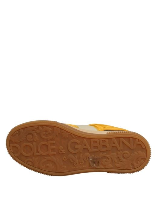 Dolce & Gabbana Brown Miami Low Top Sneakers Shoes Cotton Nylon Viscose Calf for men