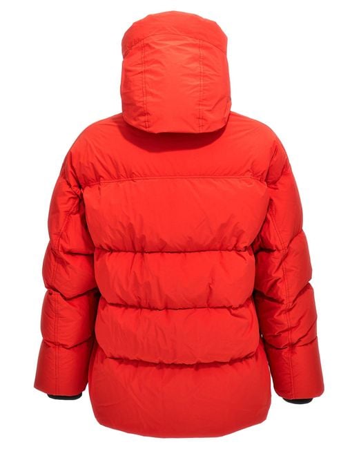 Doublet Red Animal Trim Down Jacket for men
