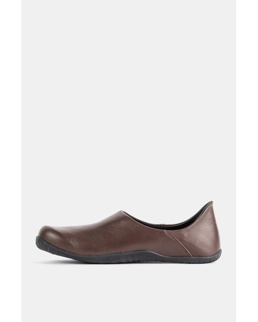 Demon Brown Dalmara Sneaker for men