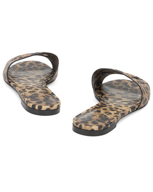 Dolce & Gabbana Brown Slide Sandals Calfskin
