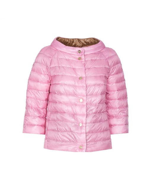 Herno Pink Jackets
