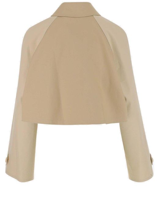 Palm Angels Natural Palm Plaque Cropped Trench Coat