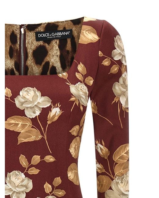 Dolce & Gabbana Red Rose Print Dress