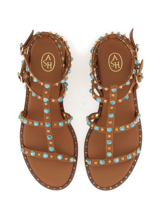 Ash Brown Stud-embellished Sandals