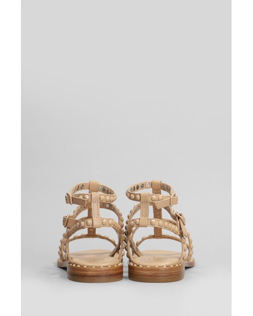 Ash Multicolor Precious Bis Flats