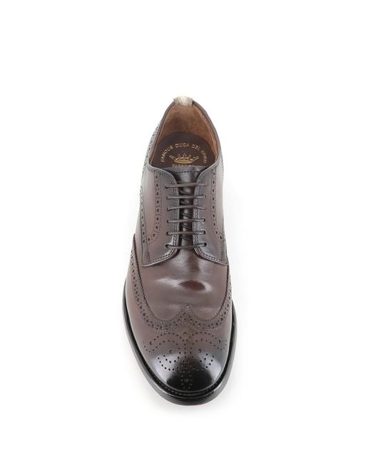 Officine Creative Brown Brogue Providence/006 for men