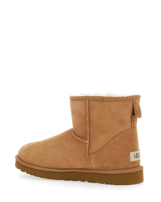 Ugg Brown Ankle Boots Classic Mini Suede for men