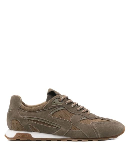 Ash Brown Sneakers