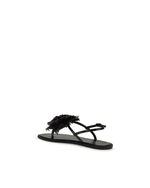 Le Silla Black Calf Leather Bos Taurus Flat Sandals