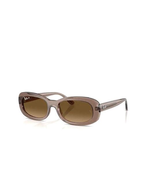 Ray-Ban Brown Sunglasses Acetate Eyewear