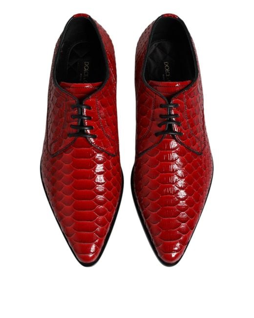 Dolce & Gabbana Red Exotic Leather Lace Up Dress Derby Shoes Python for men