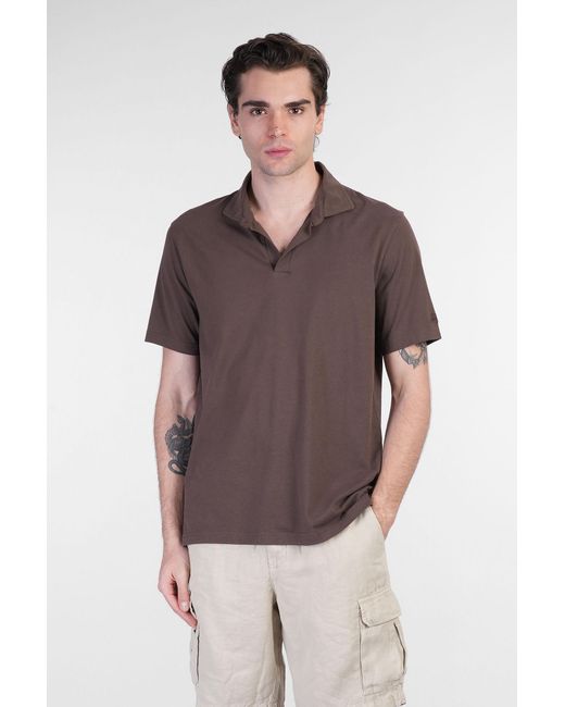 Mc2 Saint Barth Brown Brighton Polo for men