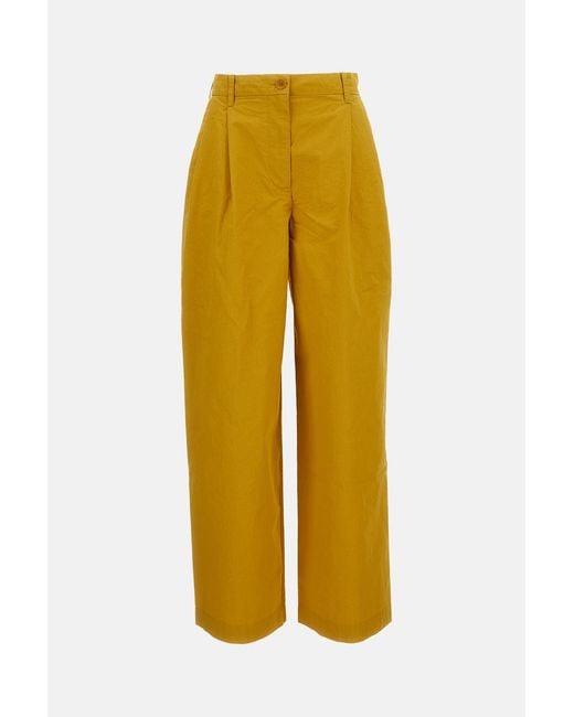 Casey Casey Yellow Casey & Rtw