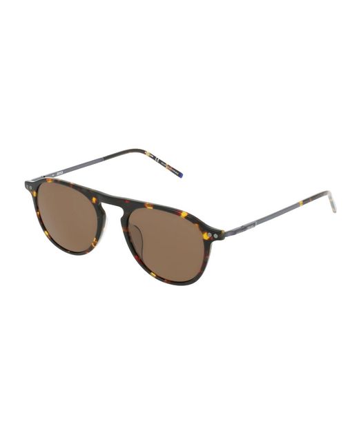 Zeiss Metallic Zs22702S Celluloid Occhiali Sole for men