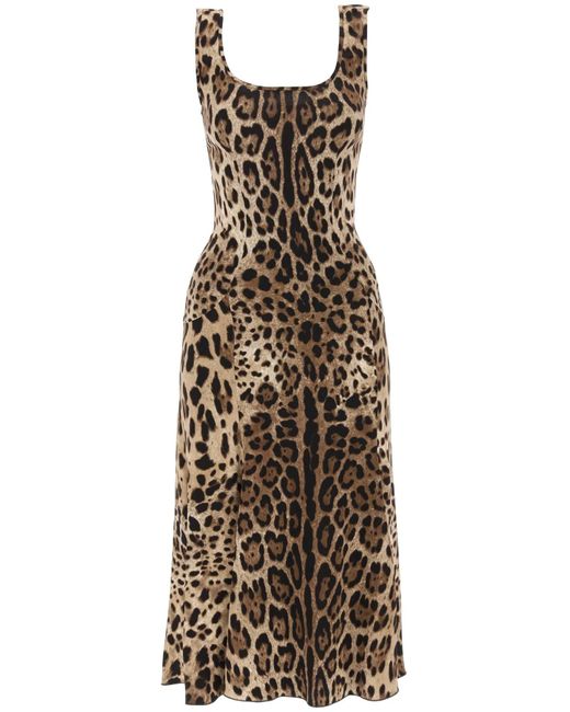 Dolce & Gabbana Natural Leopard Print Jersey Midi Dress