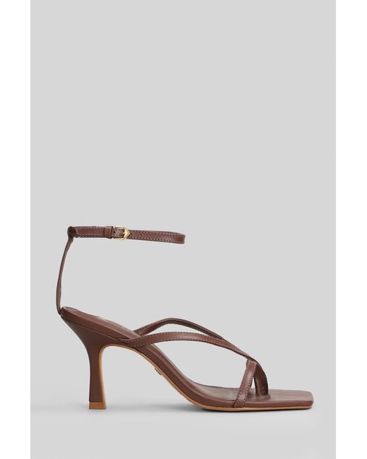 Carrano Brown Sandals