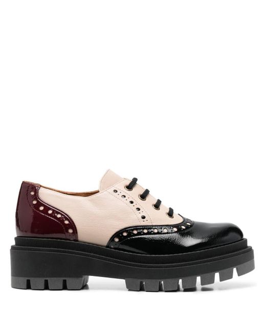 Chie Mihara Black Colour-block Leather Brogues