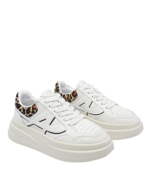 Ash White Sneakers Calf Leather/Rubber Sole