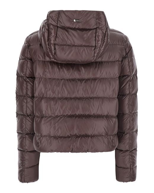 Herno Brown Down Jacket Short Puffer