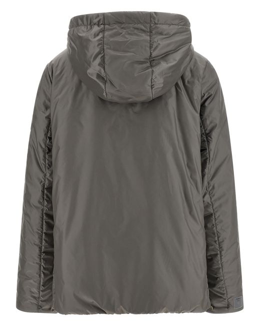 Max Mara Gray Greenh Jacket