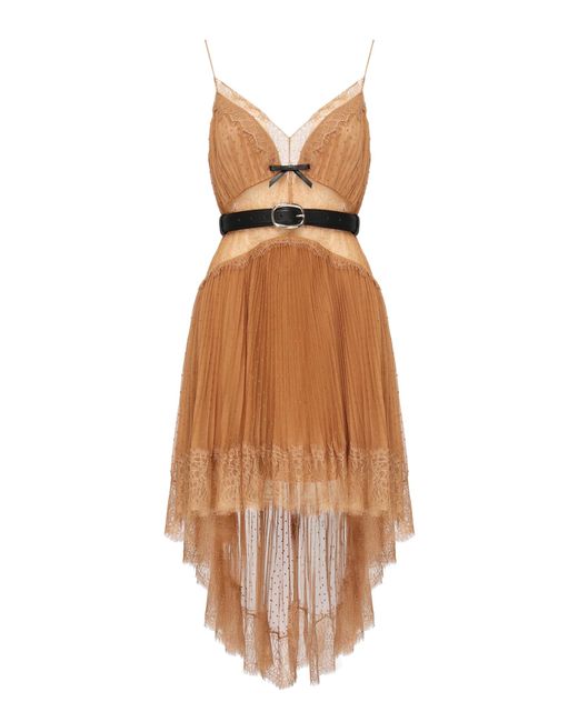 Self-Portrait Brown Dresses