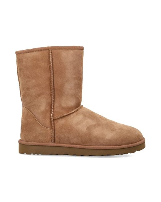 Ugg Brown Classic Short Boots for men