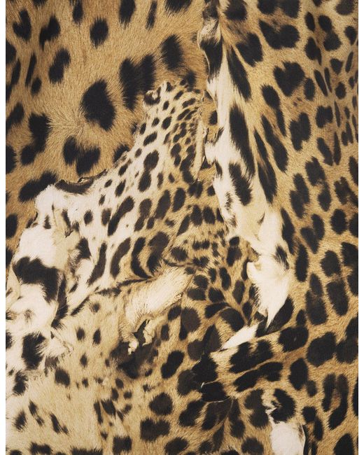 Roberto Cavalli Metallic Lingerie Dress With Leopard Print