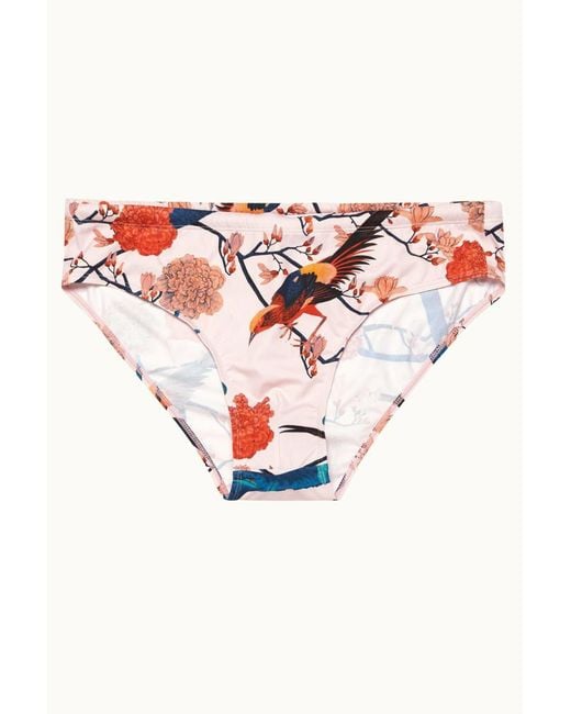 Orlebar Brown Pink Dachshund Flight Of Fantasy-277917-Rose, Clothing for men