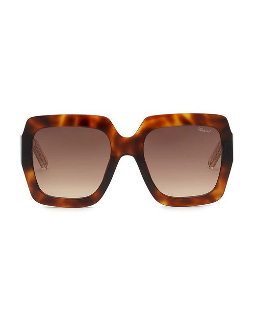 Chopard Brown Frame And Lens Sunglasses
