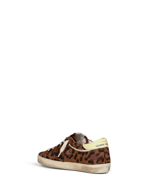 Golden Goose Deluxe Brand Brown Sneakers Super-Star Leopard Pony Skin