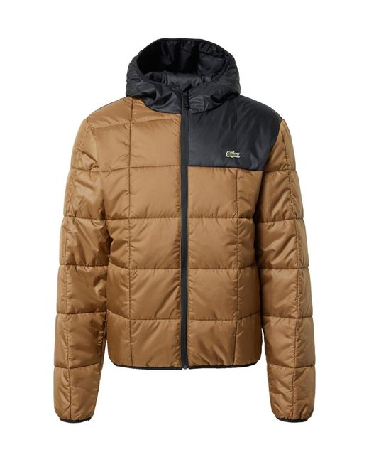 Lacoste Brown Waterproof Colour-Block Puffer Jacket for men