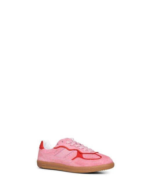 Alohas Pink Suede Tb.490 Sneakers