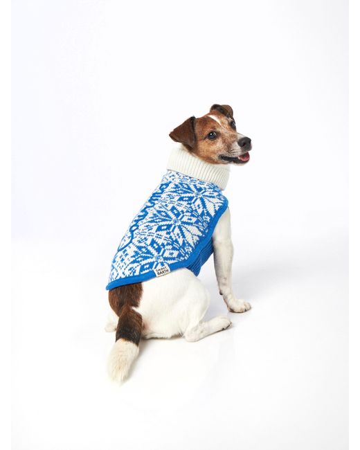 Mc2 Saint Barth Blue Dog Sweater With Nordic Jacquard