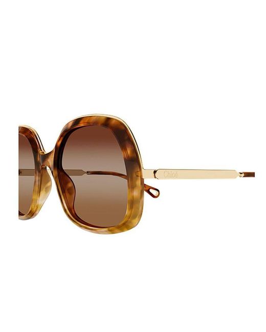 Chloé Brown Chloe Sunglasses Havana- Eyewear