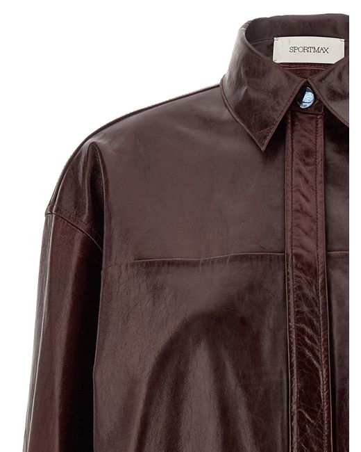 Sportmax Brown 'Borel' Shirt