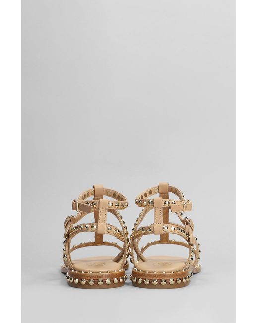 Ash Multicolor Precious Flats