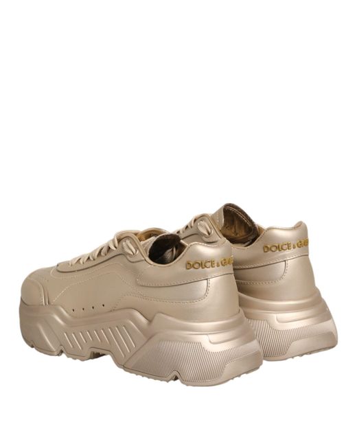 Dolce & Gabbana Natural Leather Daymaster Sneaker Shoes Calf