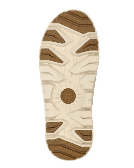 Ugg Brown Neumel Weather Hybrid Ankle Boots