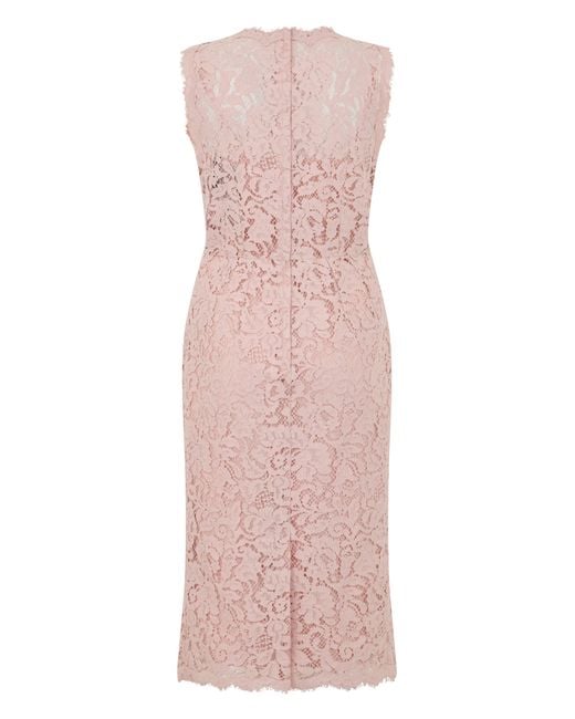 Dolce & Gabbana Pink Midi Dress Lace Cotton
