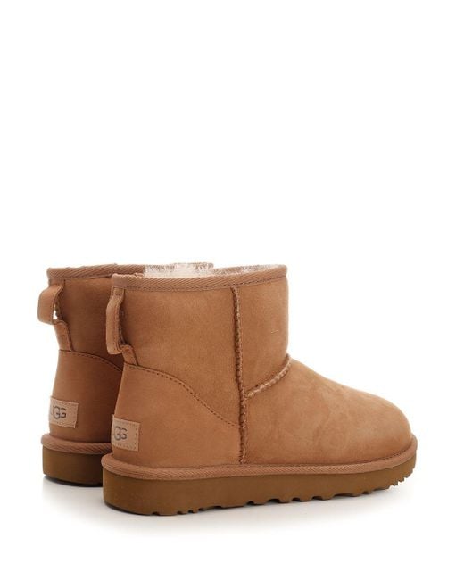 Ugg Brown Chestnut Mini