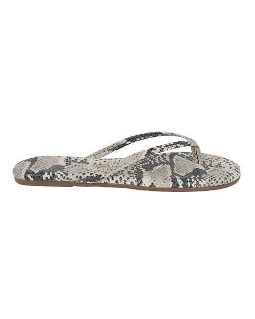 TKEES Multicolor Studio Exotic