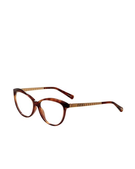 Preloved - Chopard Brown Preloved for men