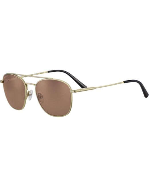 Serengeti eyewear Brown Carrollss542004